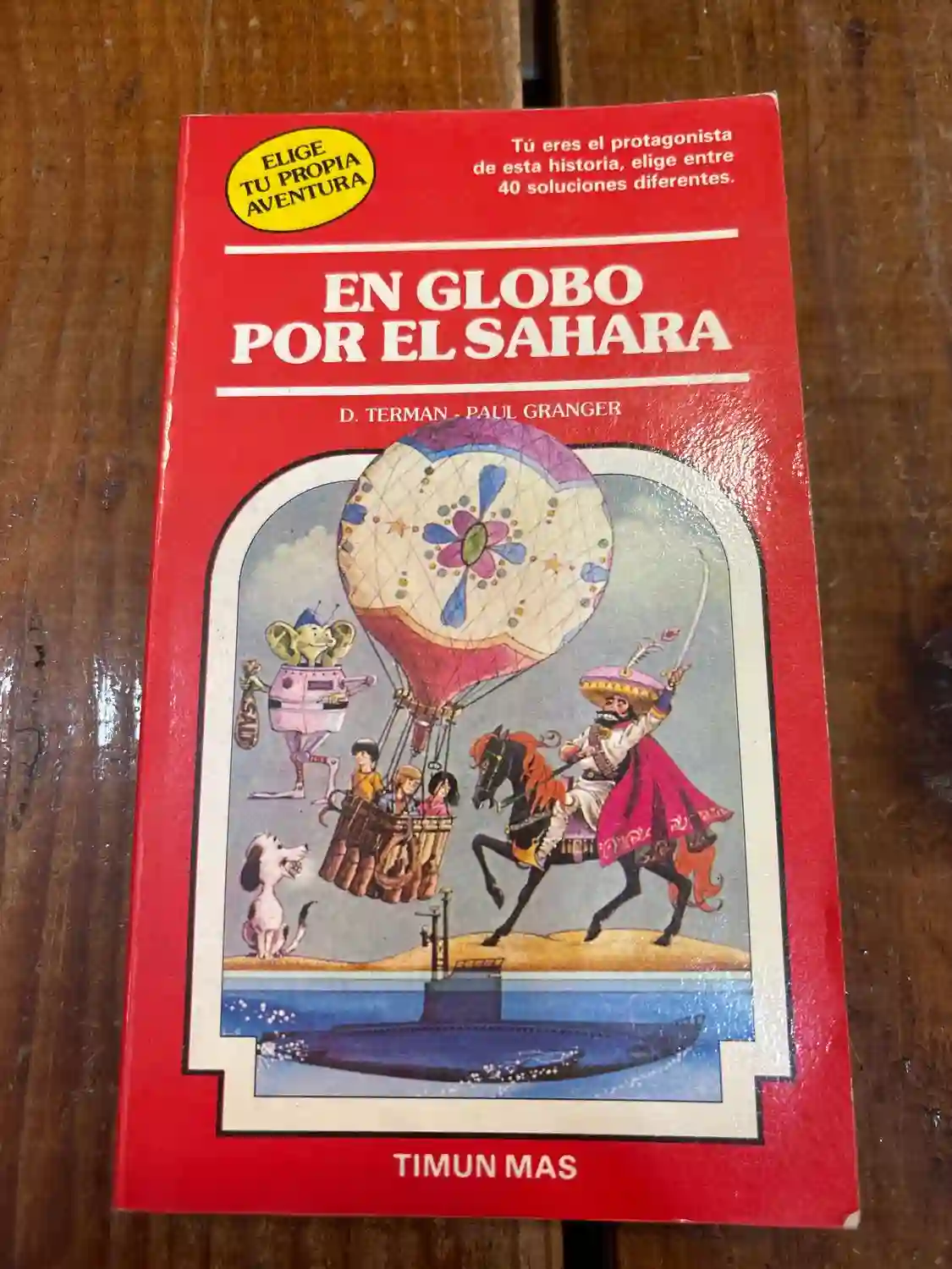 EN GLOBO POR EL SAHARA