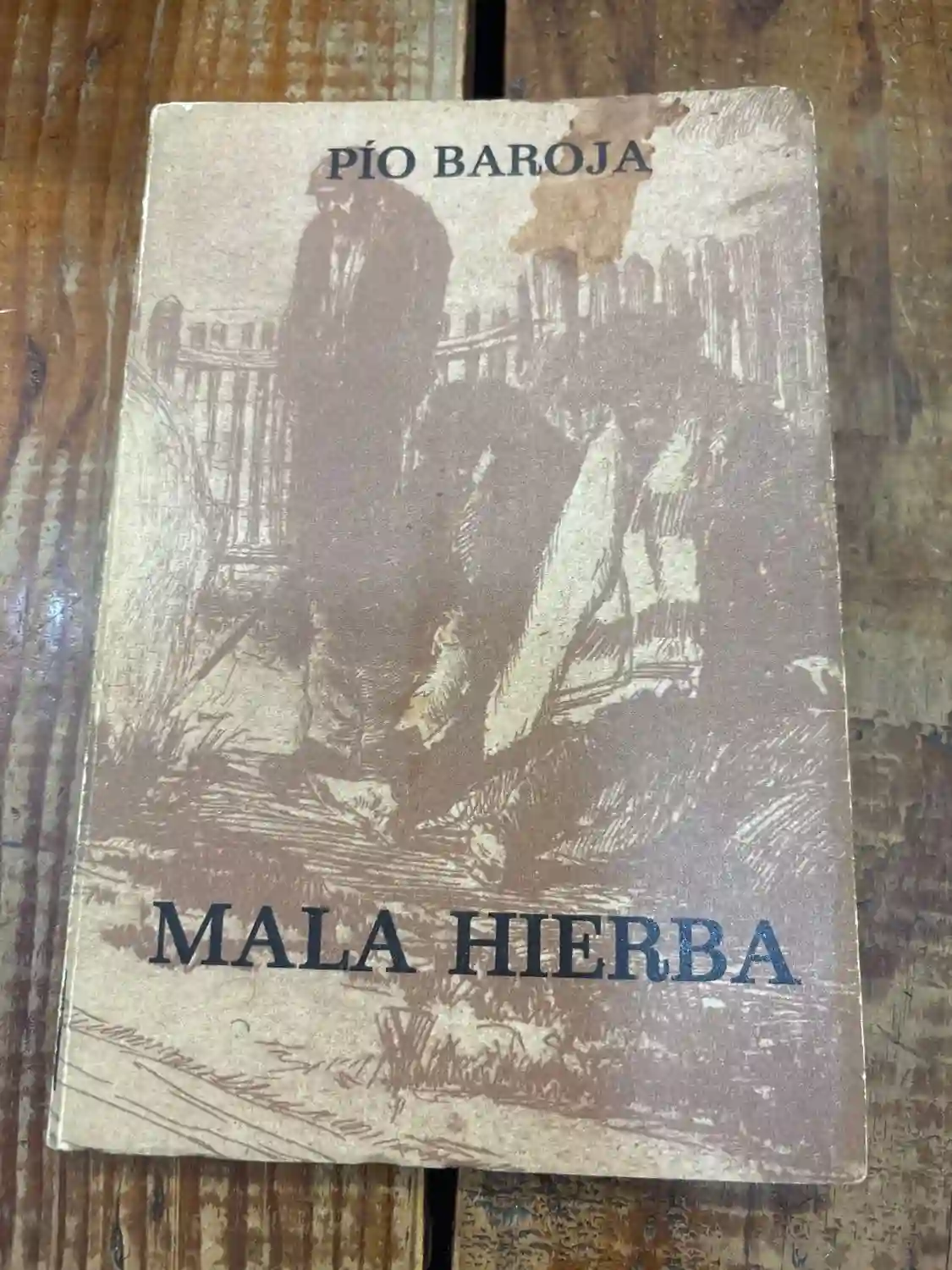 Mala hierba (Spanish Edition) TRS
