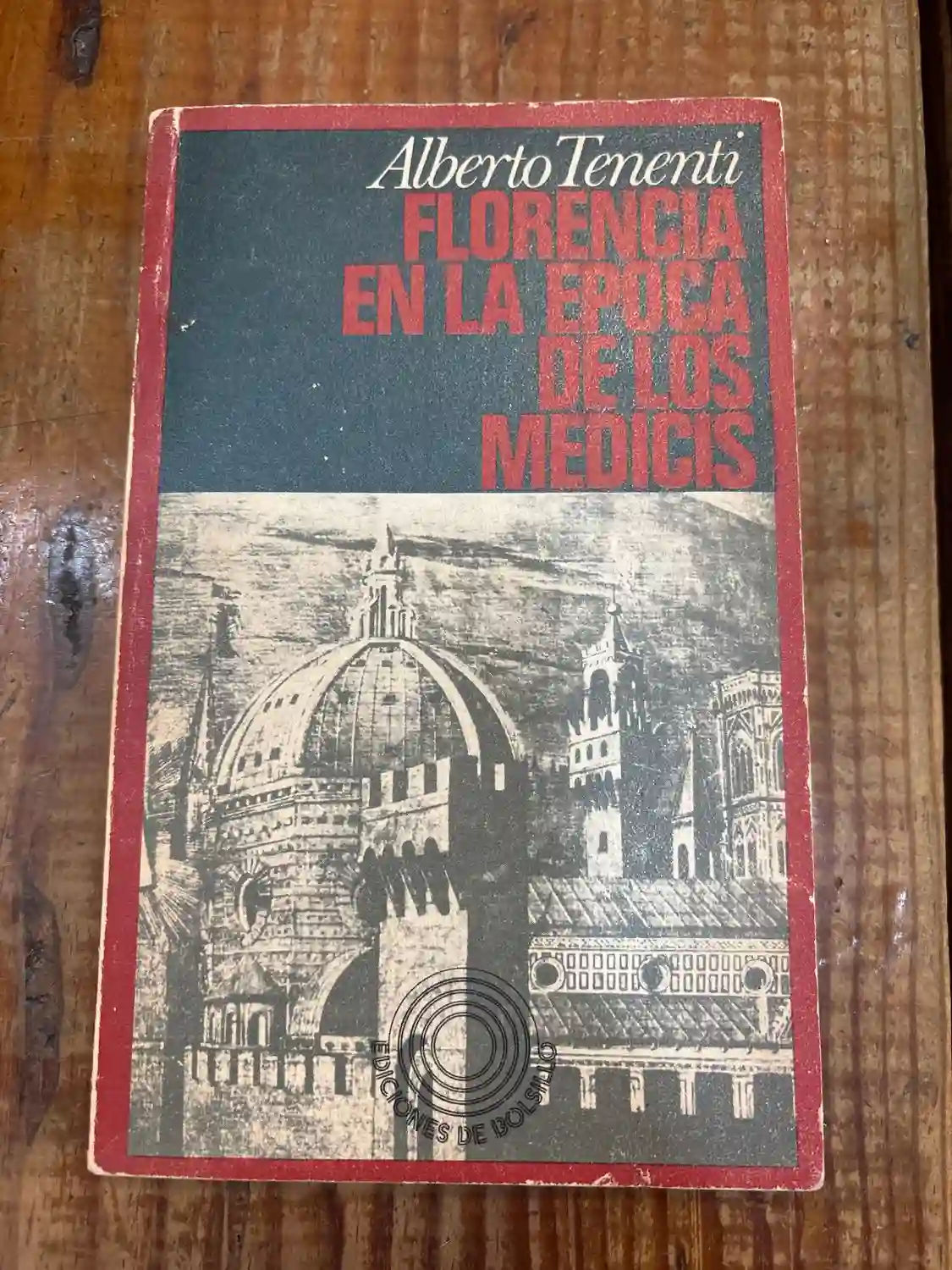 Florencia en la época de los Médicis TRSAA