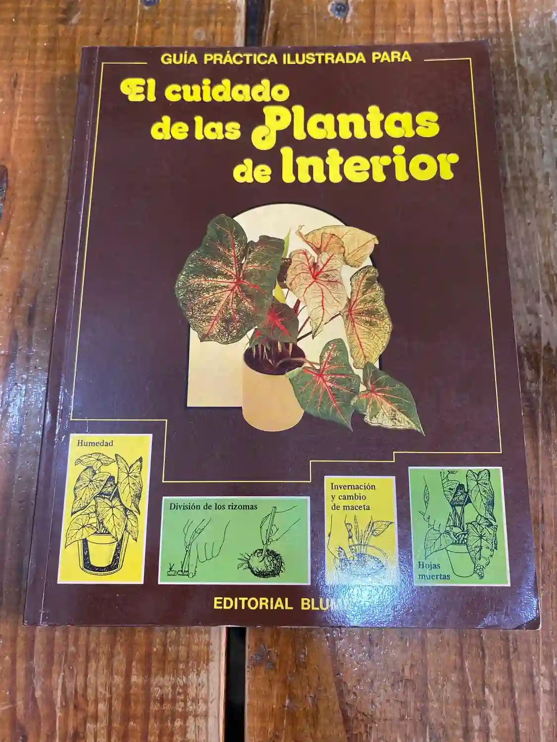 Guía practica ilustrada para El cuidado de las plantas de interior