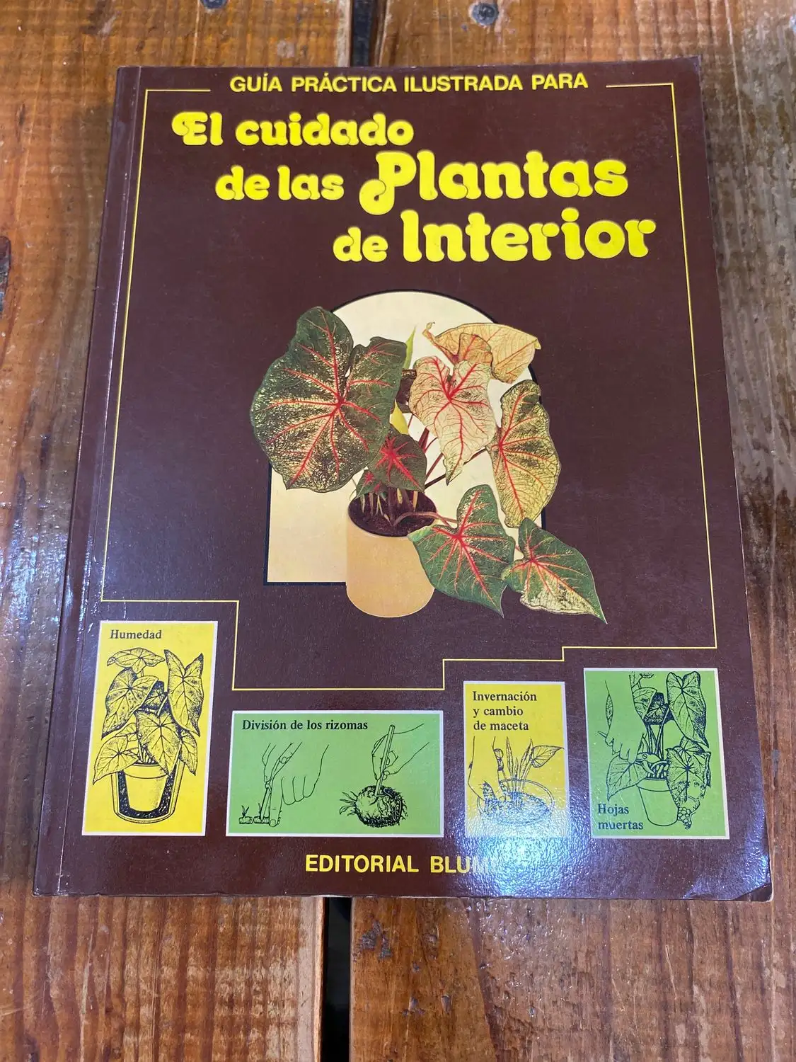 Guía practica ilustrada para El cuidado de las plantas de interior