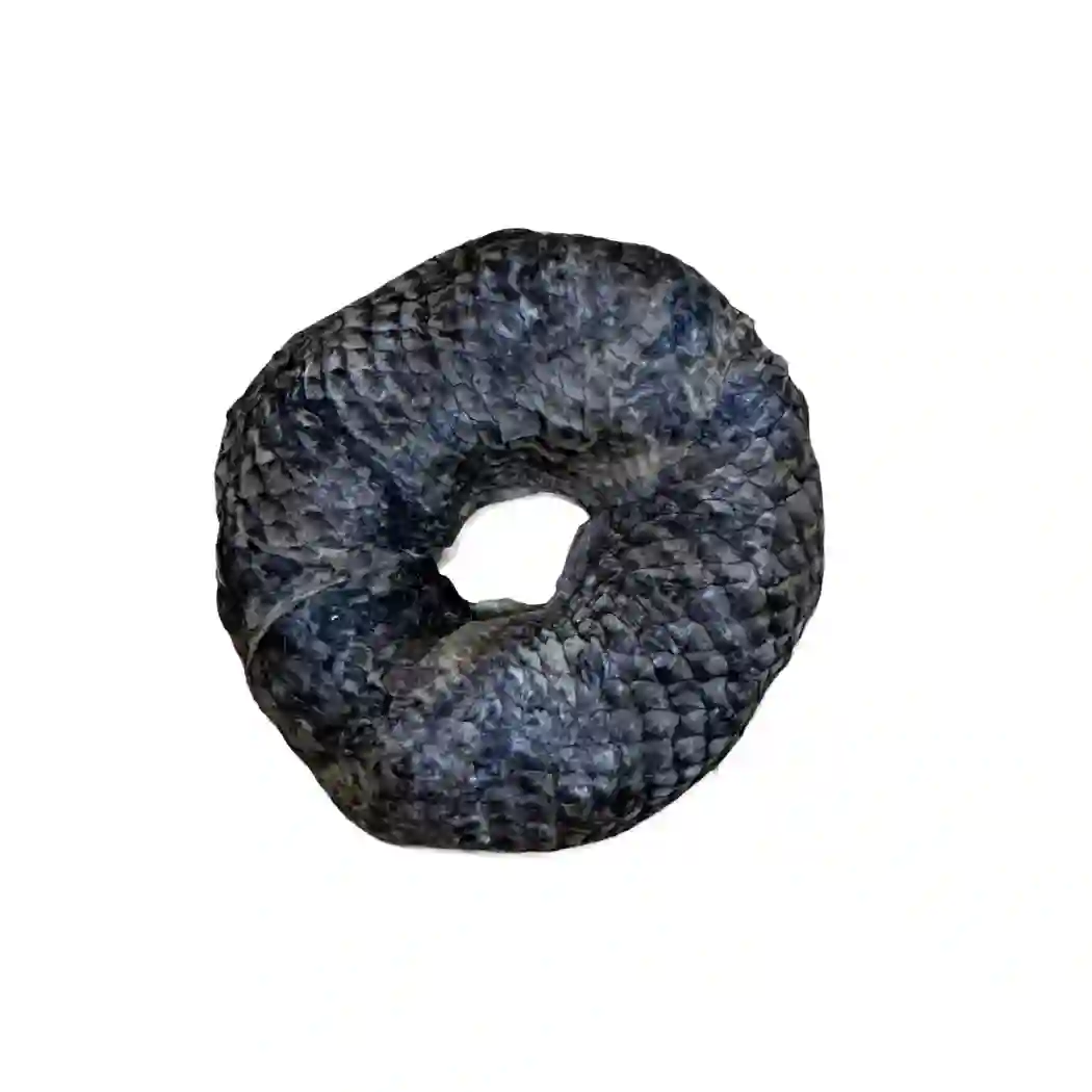 Denta Fun Anillo Masticable con pescado 10CM