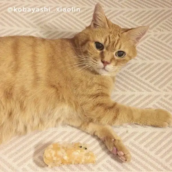 GARRA DE PELO GATO JENGIBRE - Imagen 5