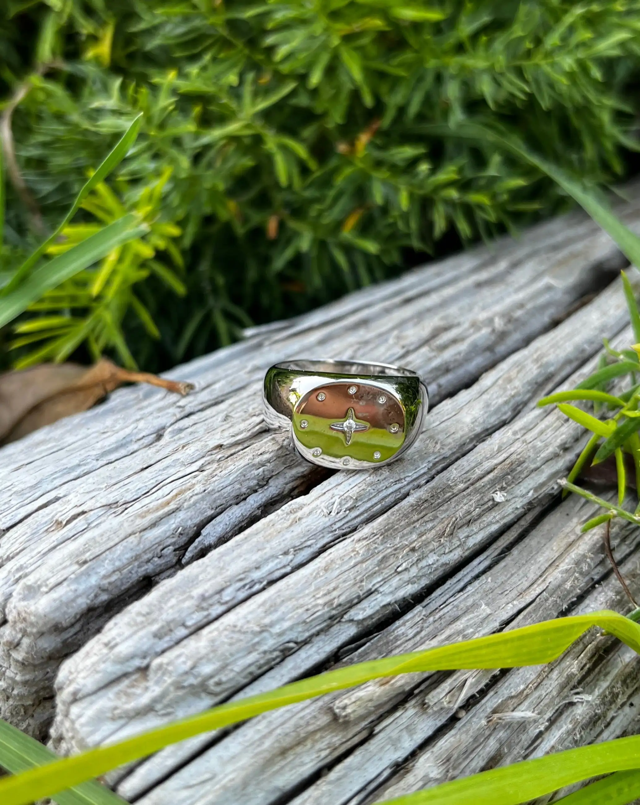 Anillo Harley - Imagen 2