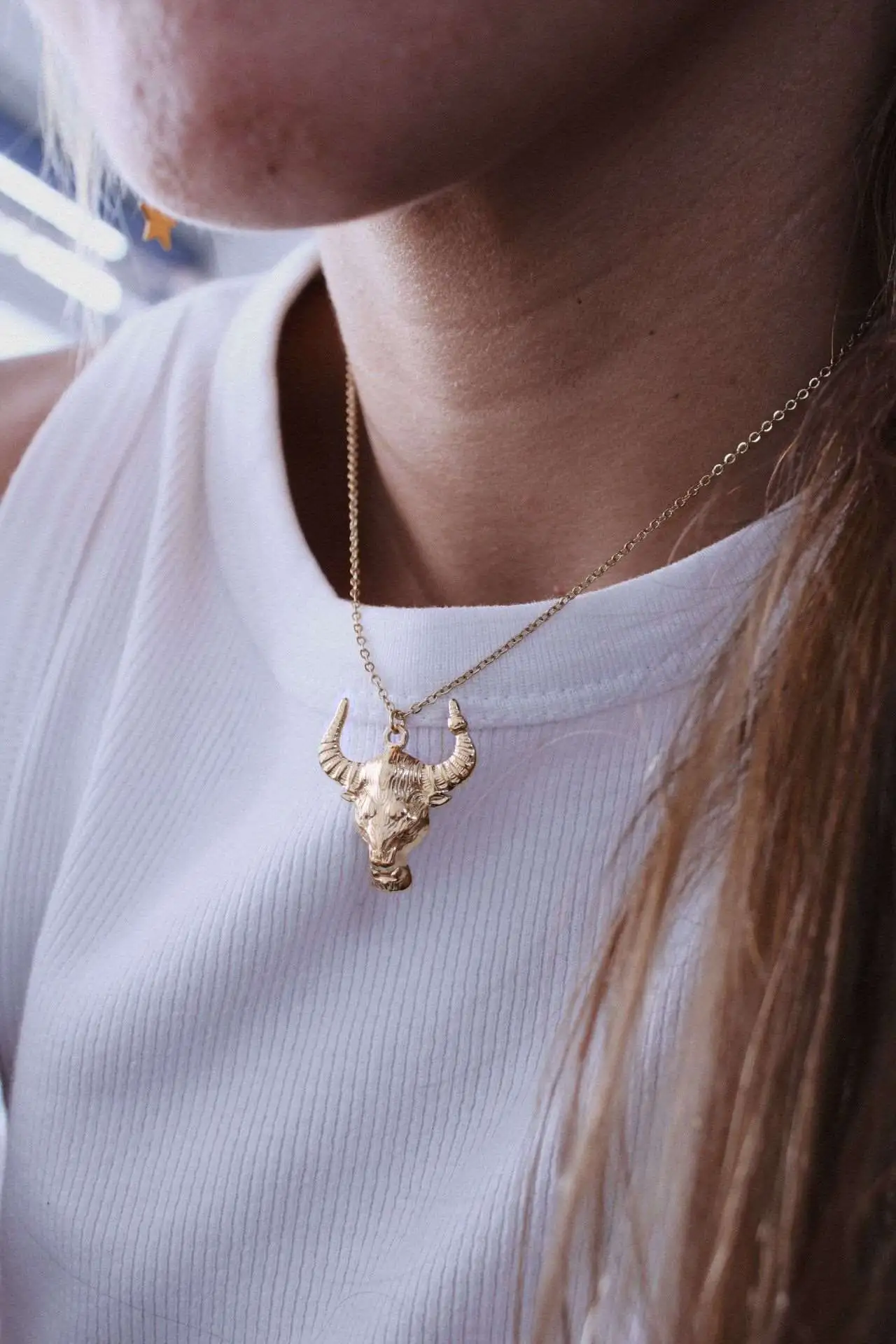 Collar Toro - Imagen 2
