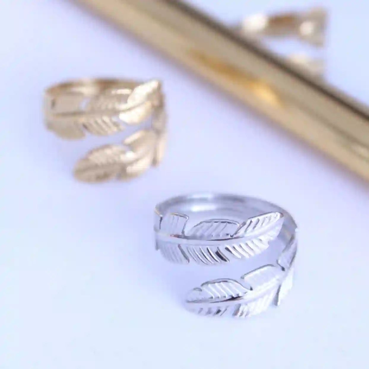 Anillo doble Pluma