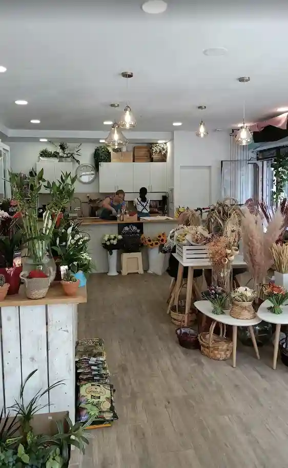 Store image 1